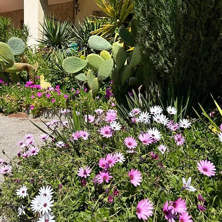 Le Cocon Des Floreal Bandol Extérieur photo