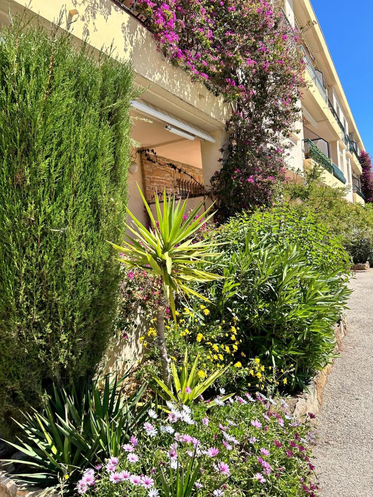Le Cocon Des Floreal * Bandol